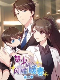 贺少的闪婚暖妻 第2季